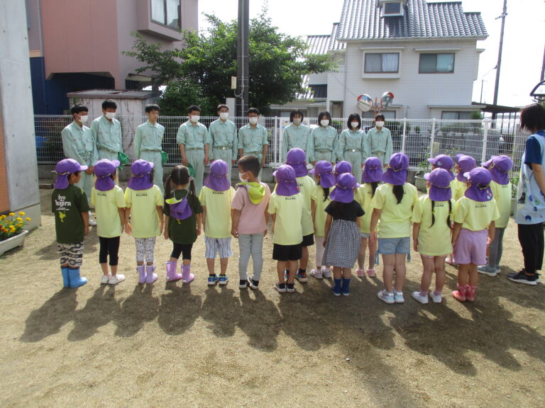 イペーの木、リベンジ！！🌳