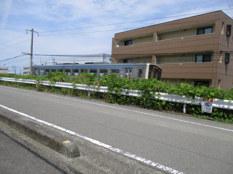 電車を見たよ🚃(1歳児)