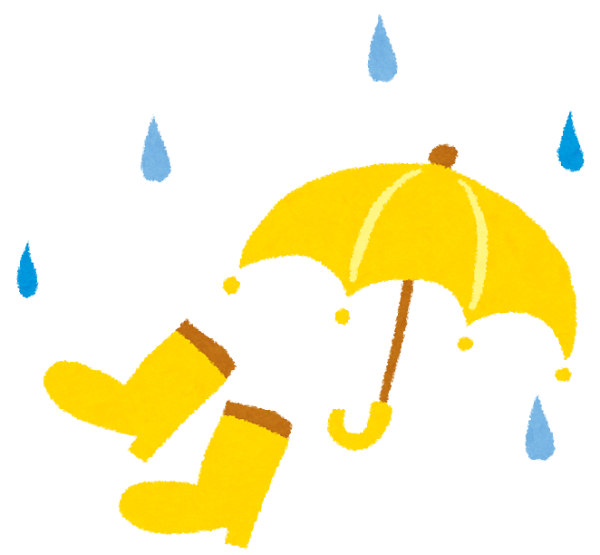 梅雨入りしました☔