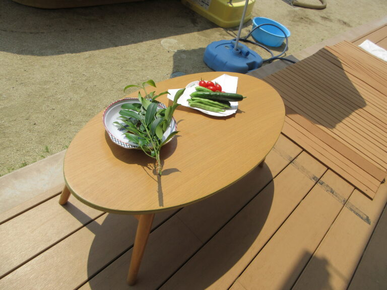 プール開き🌞