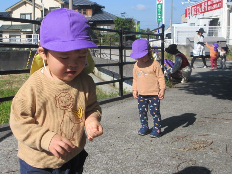どんぐり、みーつけた👀！(１歳児)